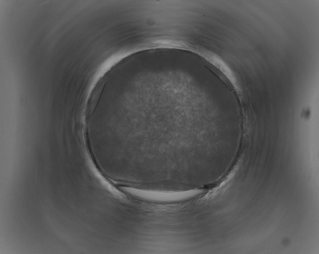 X0000094351381200711241905