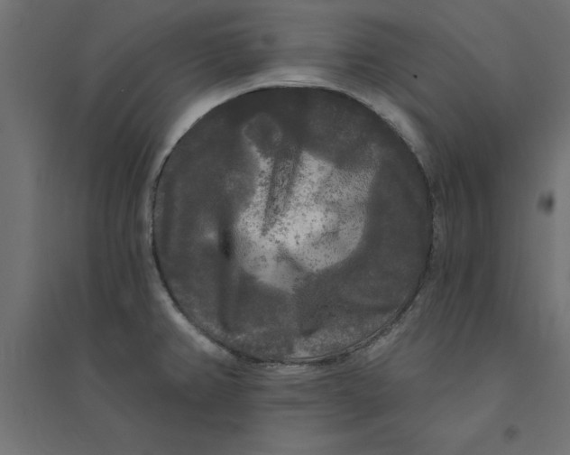 X0000094351382200711241905