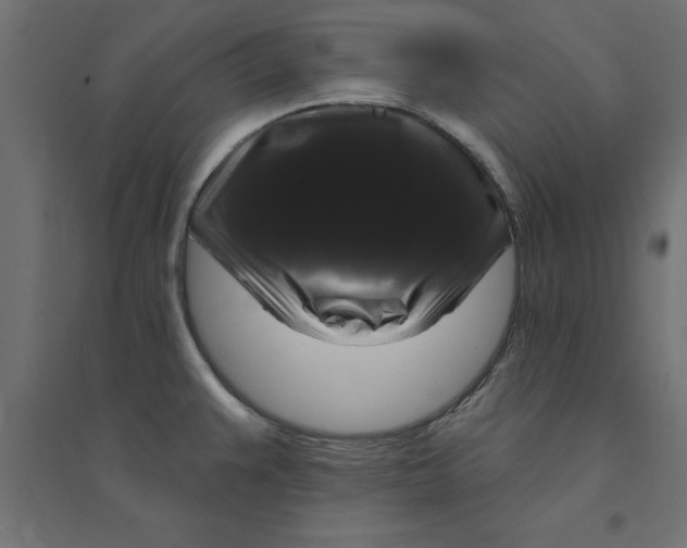 X0000094351383200711241905