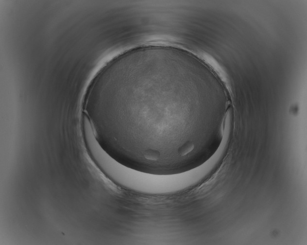 X0000094351384200711241905