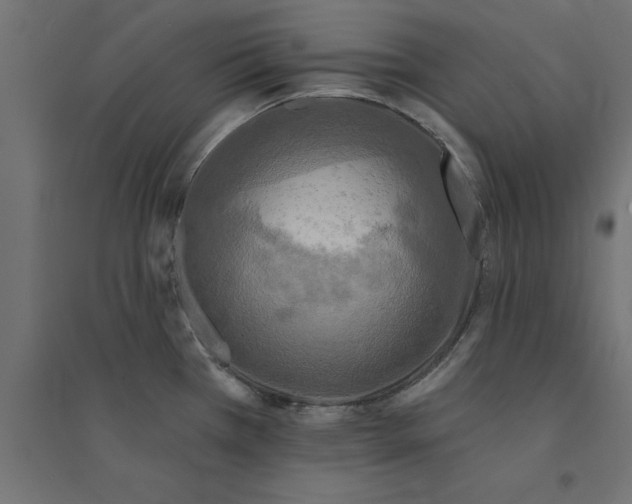 X0000094351385200711241905