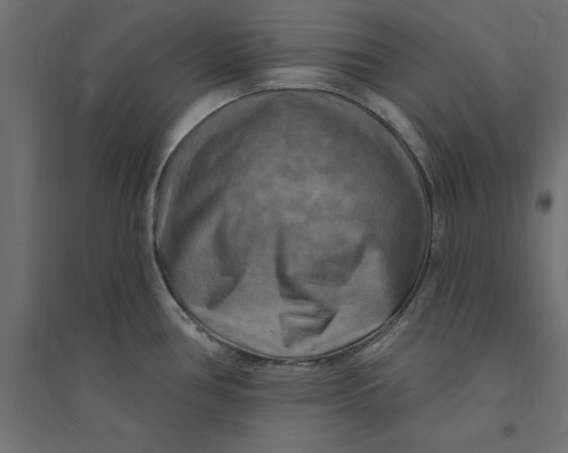 X0000094351386200711241905