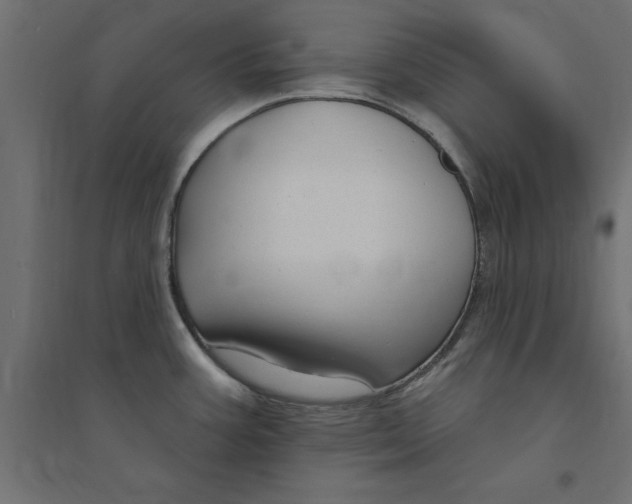 X0000094351387200711241905