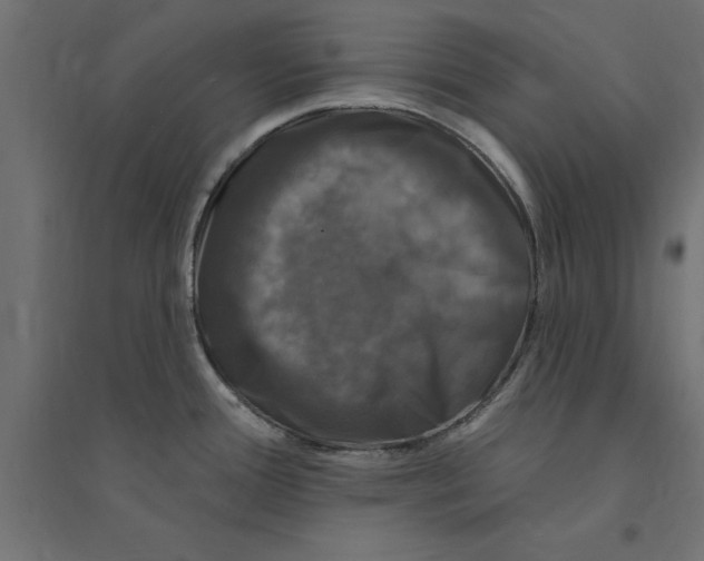 X0000094351388200711241905