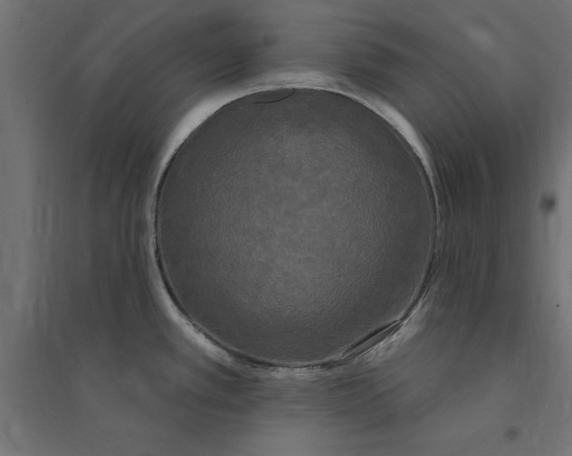 X0000094351389200711241905