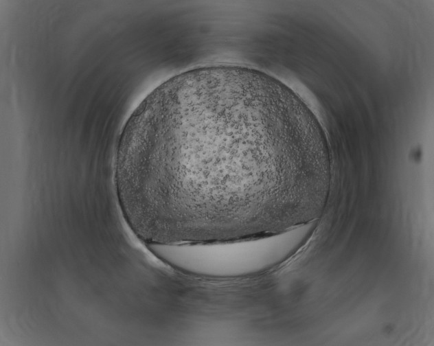 X0000094351390200711241905