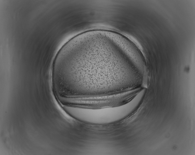 X0000094351391200711241905