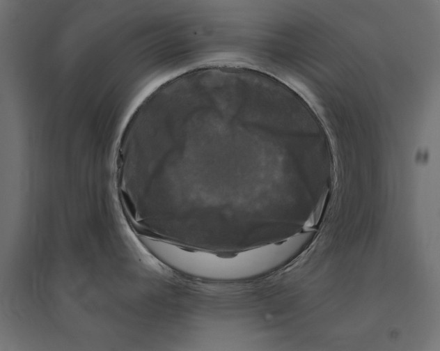 X0000094351392200711241905