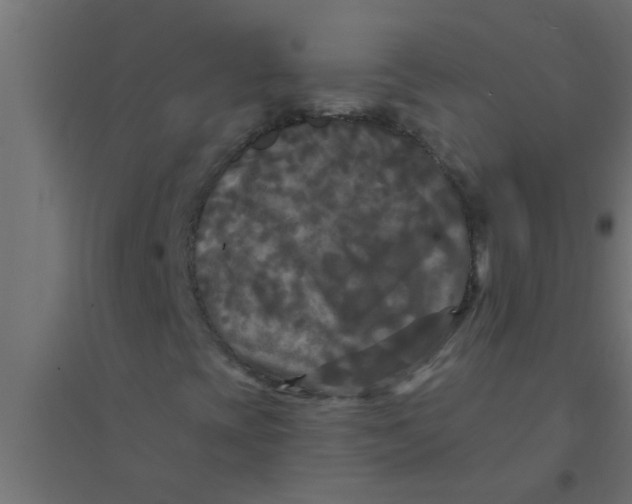 X0000094351393200711241904