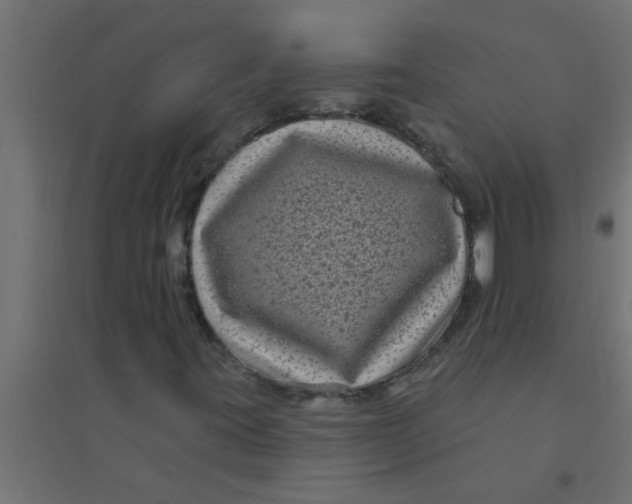 X0000094351395200711241904