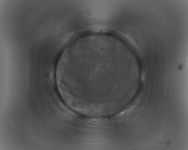 X0000094351396200711241904