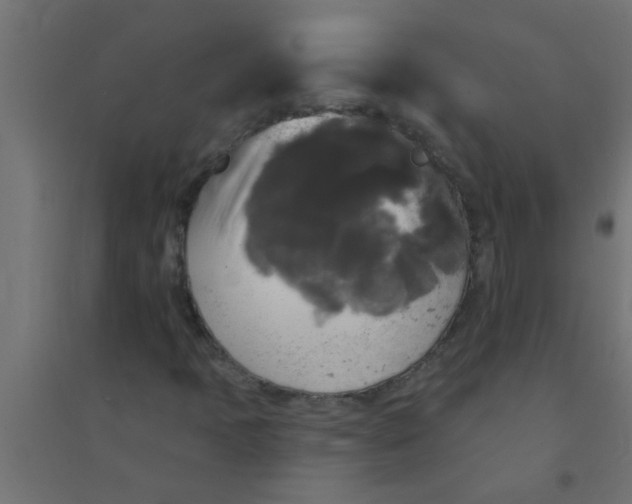 X0000094351397200711241904