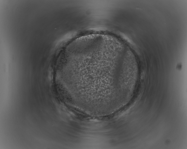 X0000094351398200711241904