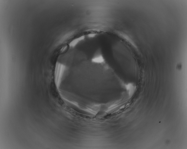 X0000094351399200711241904