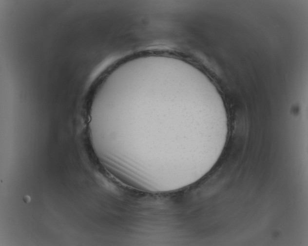 X0000094351400200711241904