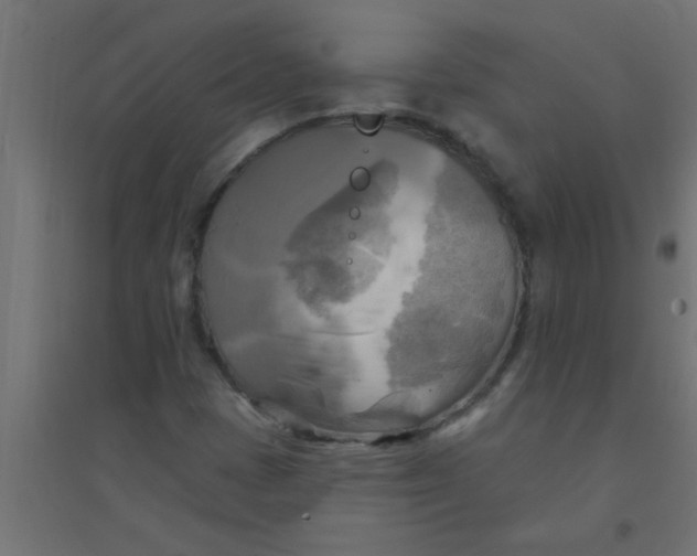 X0000094351401200711241904