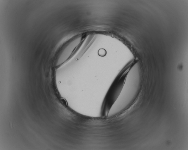 X0000094351402200711241904