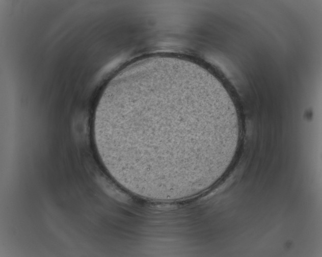 X0000094351403200711241904