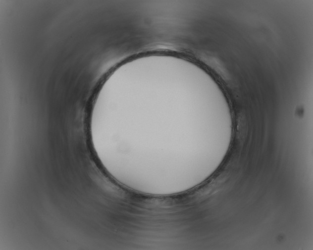 X0000094351404200711241904