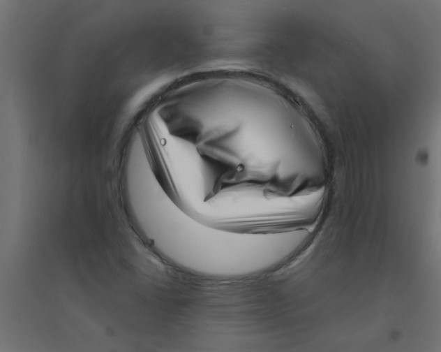 X0000094351406200711241904