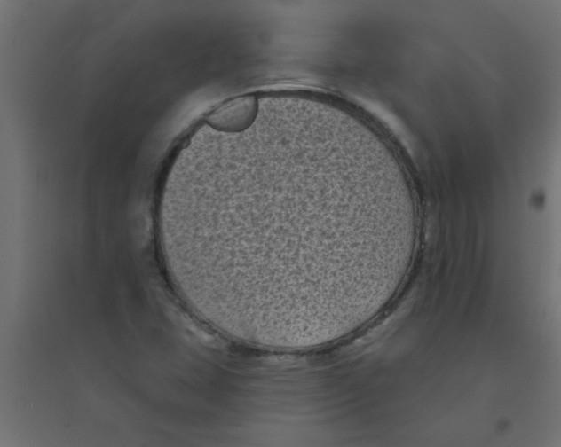 X0000094351407200711241904