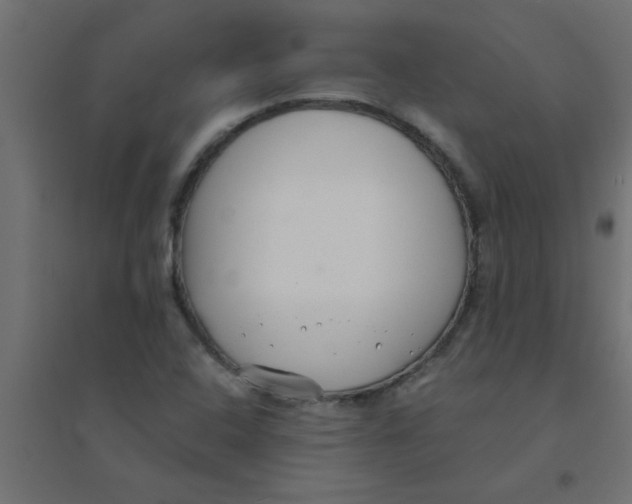 X0000094351408200711241904