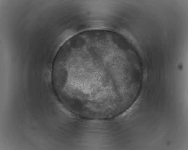 X0000094351409200711241904