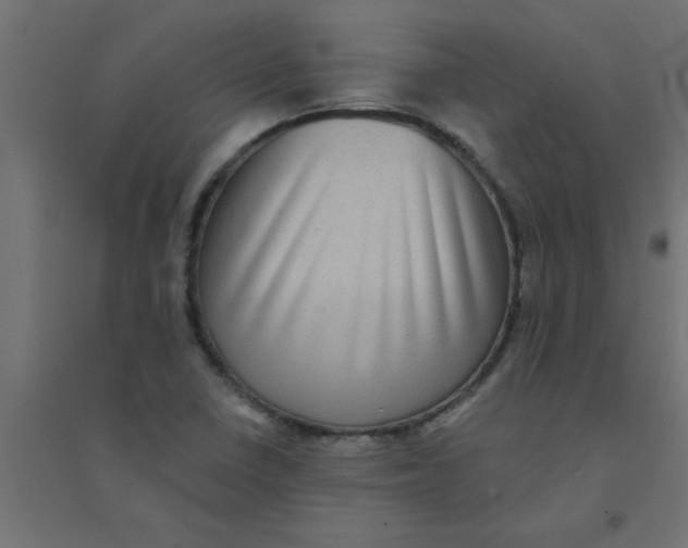 X0000094351410200711241904