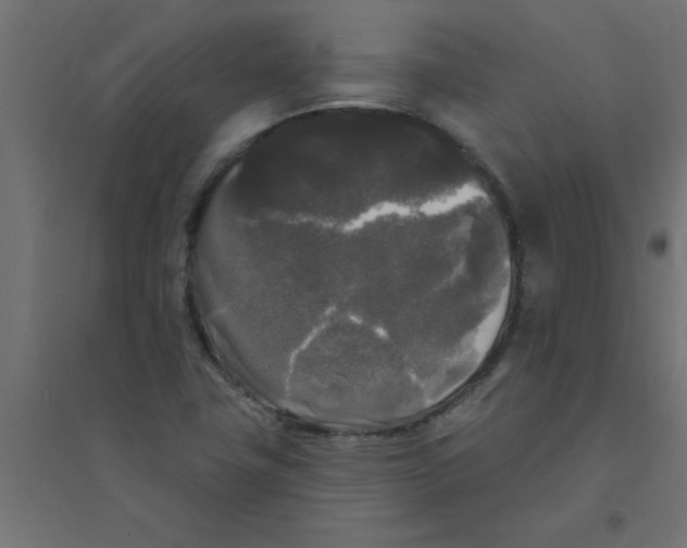 X0000094351411200711241904