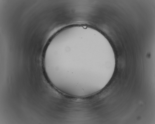 X0000094351412200711241904