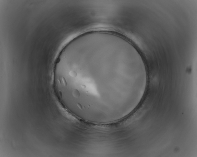 X0000094351413200711241904