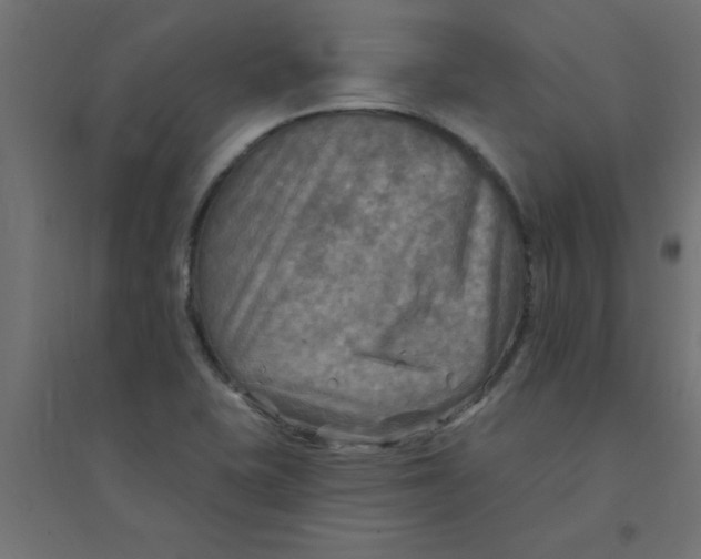 X0000094351415200711241904