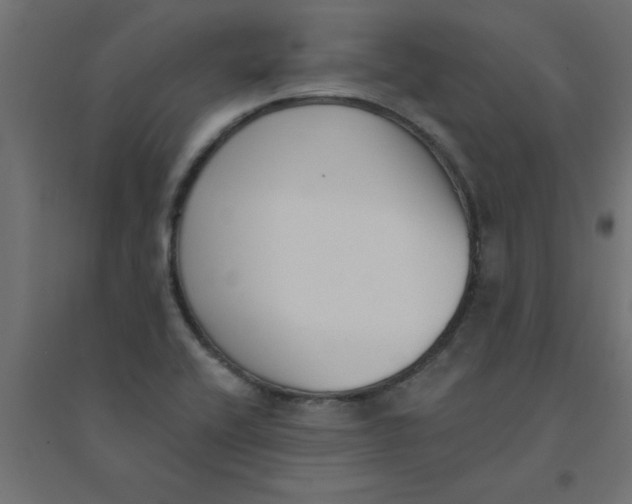 X0000094351416200711241904