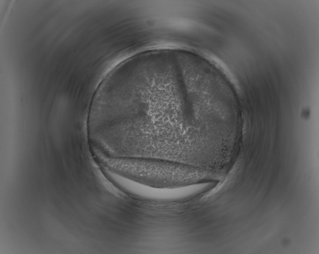 X0000094351417200711241904