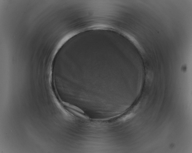 X0000094351418200711241905