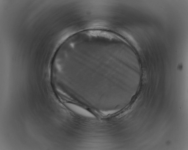 X0000094351419200711241905