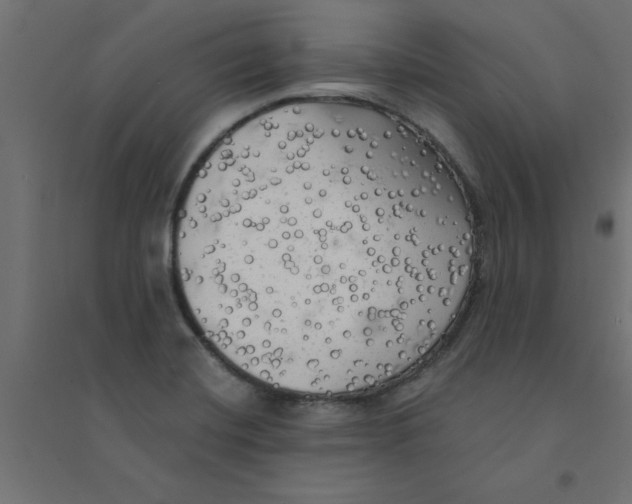 X0000094351420200711241905