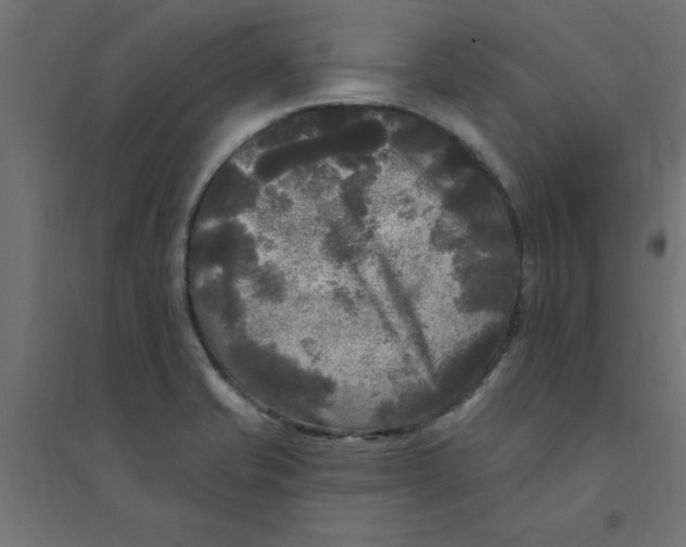 X0000094351421200711241905