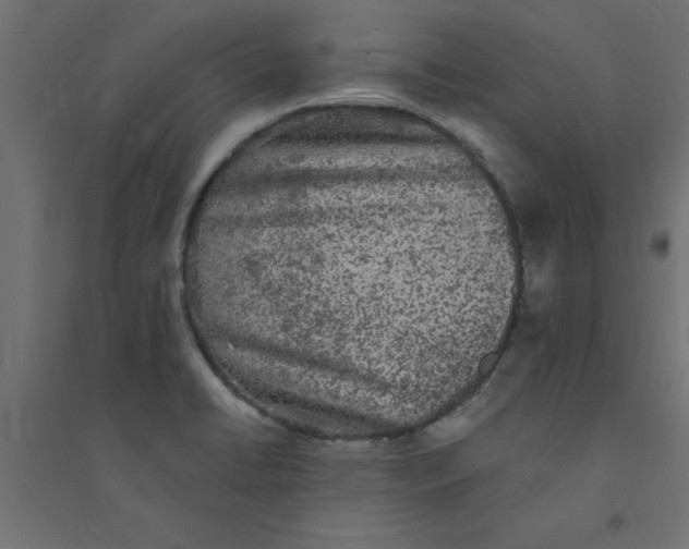 X0000094351422200711241905