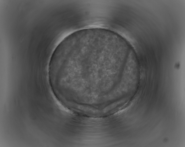 X0000094351423200711241905