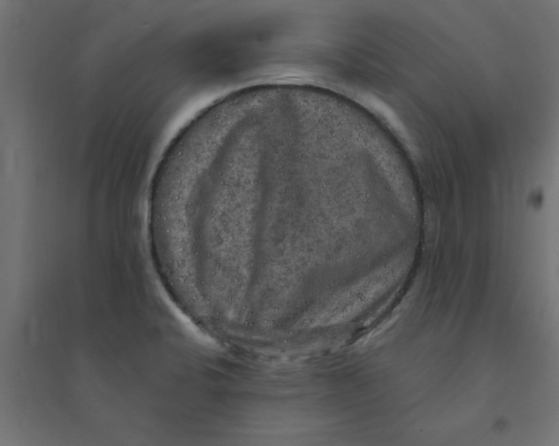 X0000094351424200711241905