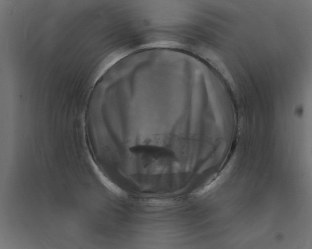 X0000094351425200711241905