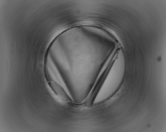 X0000094351426200711241905