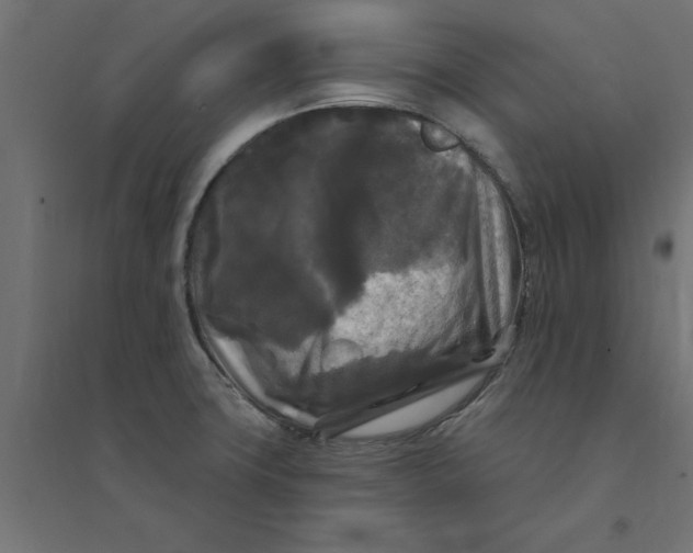 X0000094351427200711241905