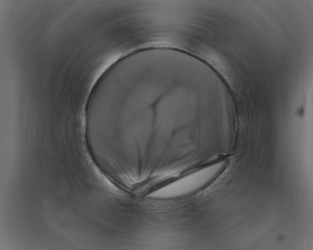 X0000094351428200711241905