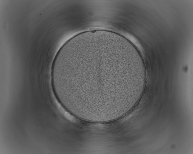 X0000094351431200711241905