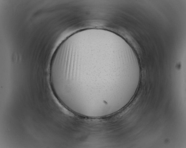 X0000094351432200711241905