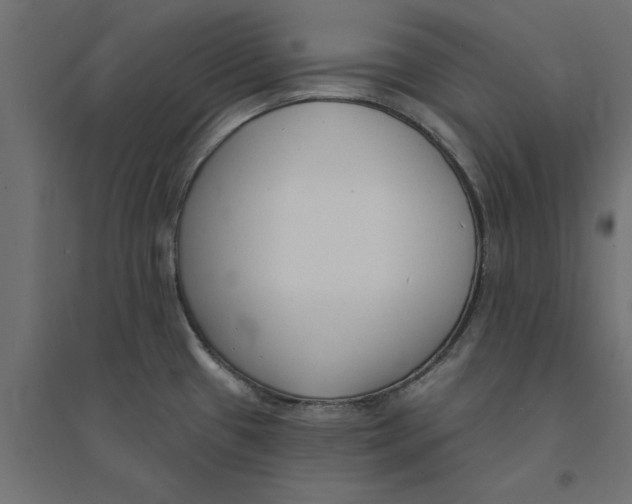 X0000094351433200711241905