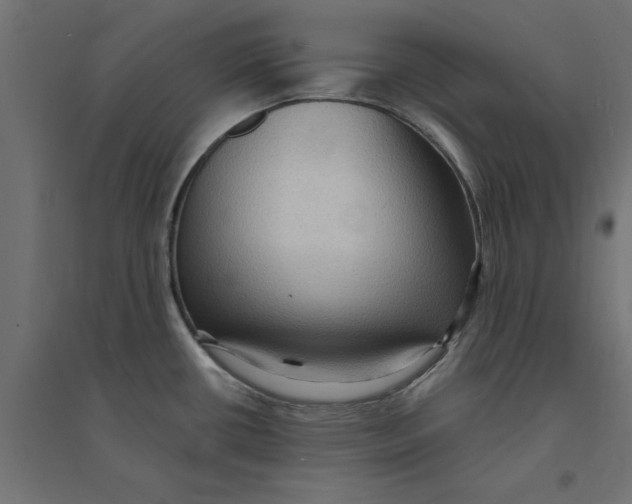 X0000094351434200711241905