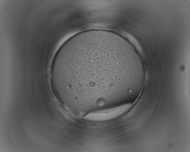 X0000094351435200711241905